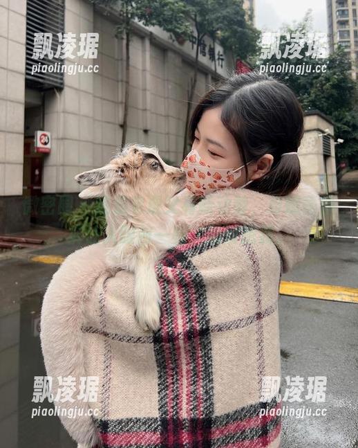 微密圈 - 妮是老虎又有新动静，粉嫩蕾丝裤让人眼前一亮，绝没想到。
