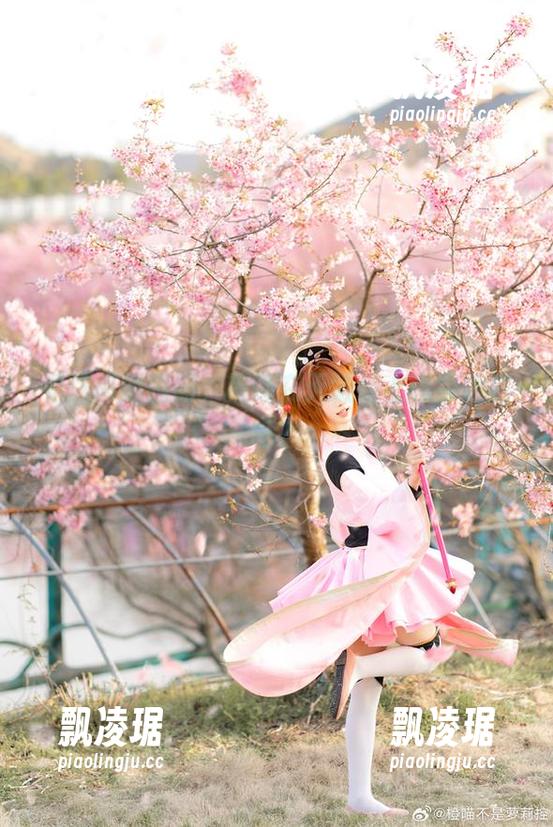 看这高清图册，橙喵在天狼星上也会迷路吧？